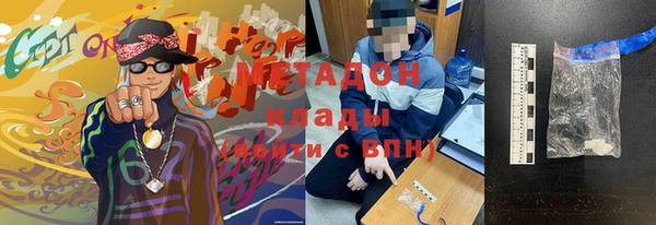ПСИЛОЦИБИНОВЫЕ ГРИБЫ Грязовец