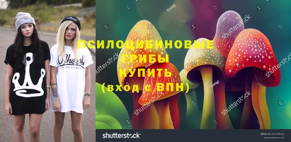 крисы Арсеньев